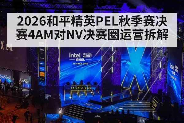2026和平精英PEL秋季赛决赛4AM对NV决赛圈运营拆解